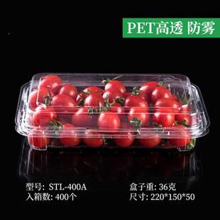 一次性水果盒子透明塑料草莓盒500克带盖打包盒一斤装水果包装盒