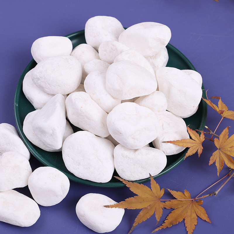 白色鹅卵石多肉盆栽铺面雪花白庭院家装园林景观鱼缸垫底白石子