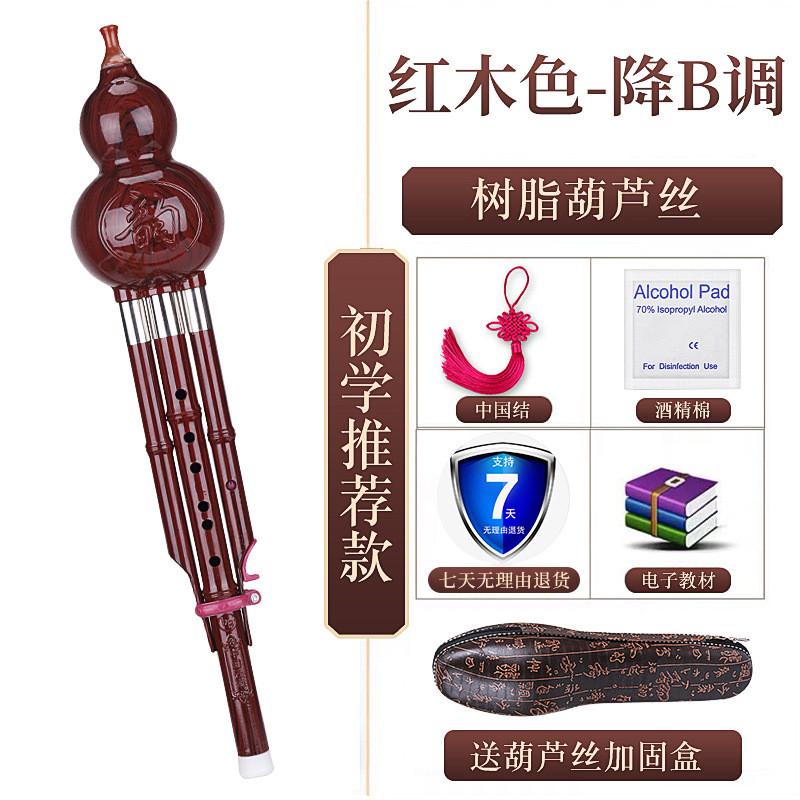 民族葫芦丝丝初学者儿童c调降b调小学生专业演奏型成人胡芦乐器