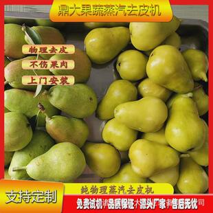 全自动果蔬红薯蒸汽剥皮机机西红柿去皮黄桃去皮鼎大工业