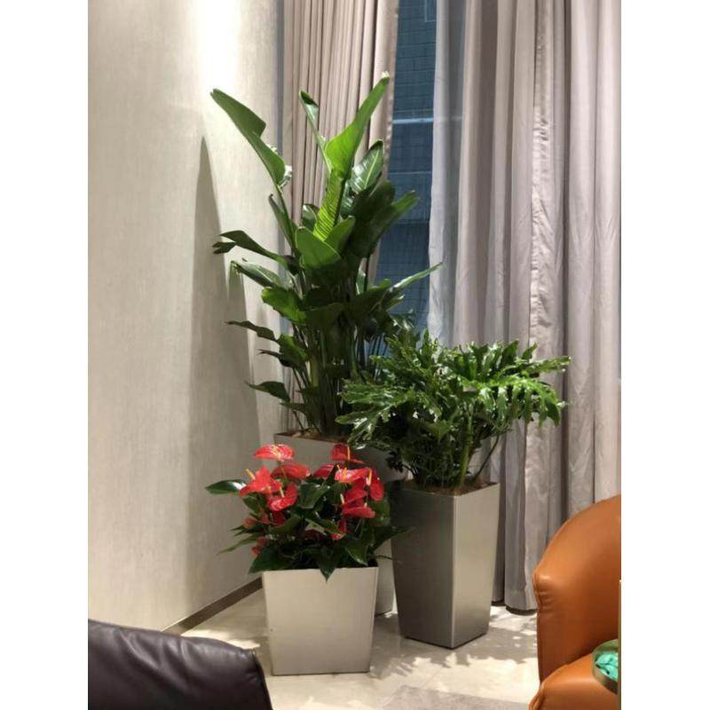 塑料花盆方形花盆落地三组合自吸水懒人花盆室内简约现代高筒花器
