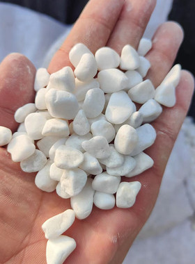 4-20cm白色鹅卵石园林洗米石子铺路水族造景用水磨石子