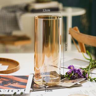 轻奢花瓶摆件玻璃透明水养富贵竹玫瑰百合插花客厅桌面落地装饰品