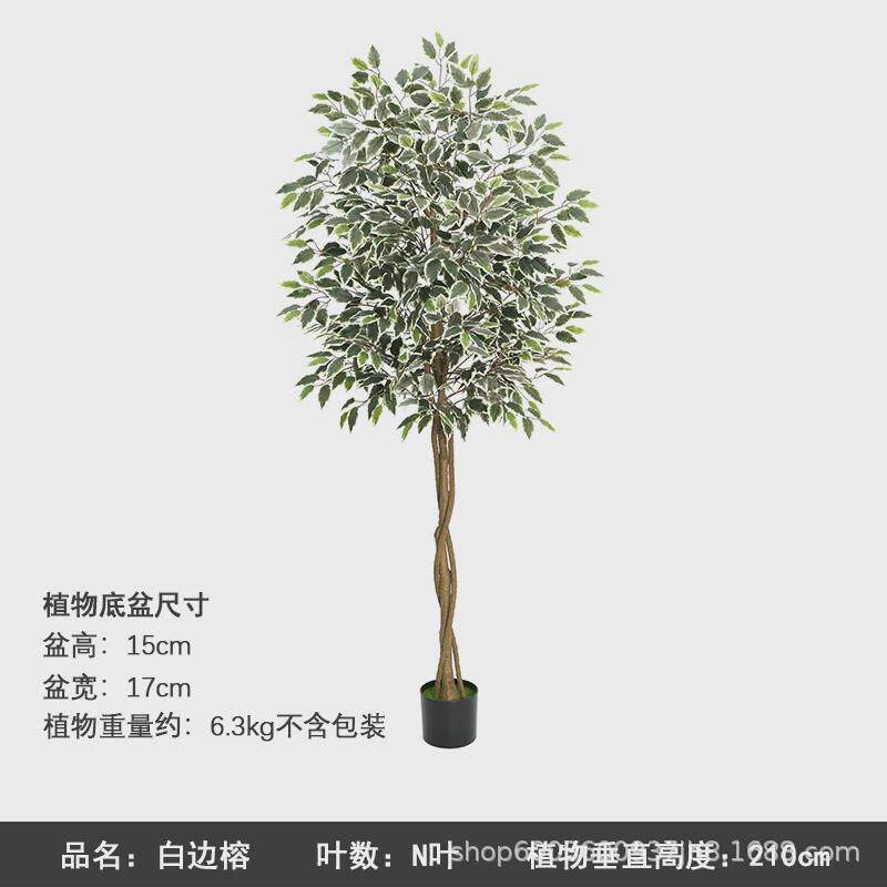 跨境仿真绿植北欧风清新大型落地摆件装饰网红白边假榕树植物盆栽
