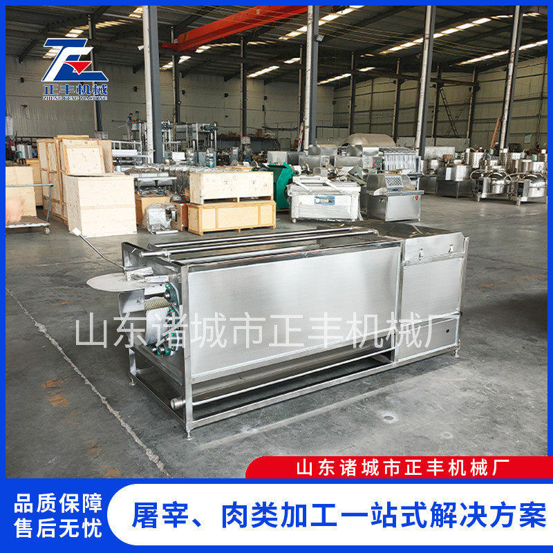 猪牛羊头蹄洋芋设备清洗红薯地瓜清洗去皮机全自动毛辊清洗机,清洗/食品/商业设备,果蔬加工设备,淘宝优惠券,粉丝福利购,淘宝优惠卷