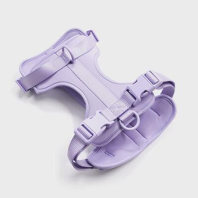 爆品WildOne宠物狗狗胸背带套装PVC项圈牵引绳中小型夏季透气