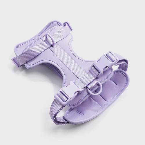 爆品WildOne宠物狗狗胸背带套装PVC项圈牵引绳中小型夏季透气