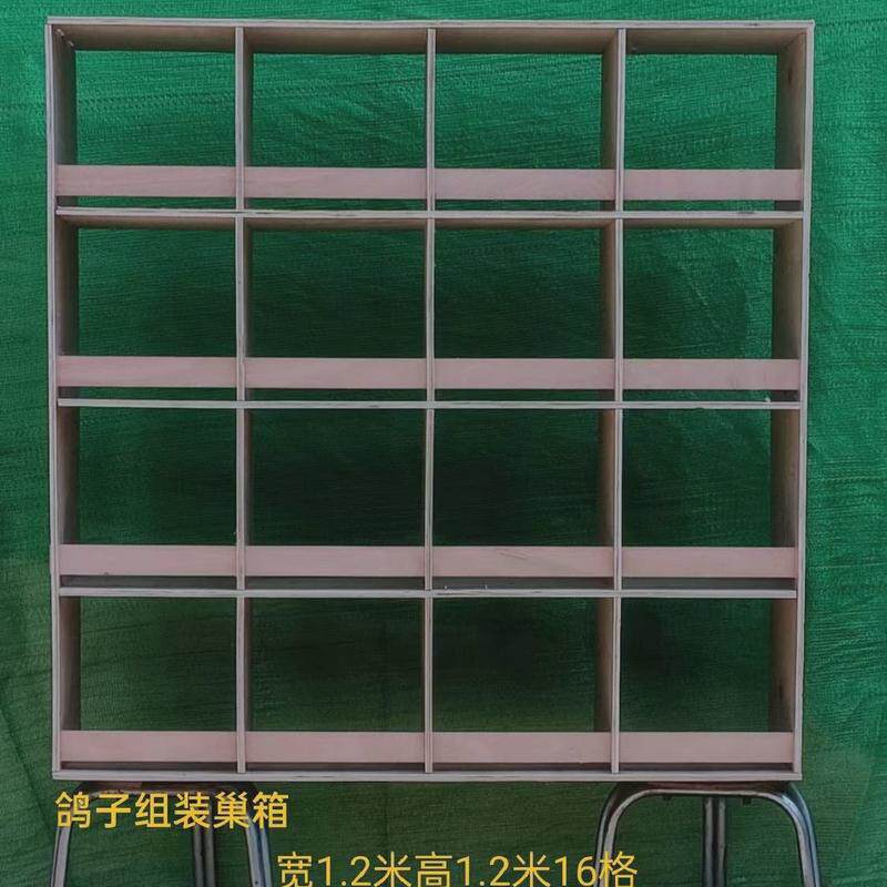 用品鸽子巢箱拼装鸽子窝信鸽赛抱窝养殖配对笼鸽养殖鸽子笼
