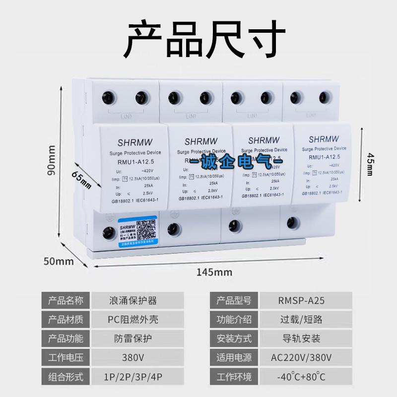 上海人民一级浪涌防雷保护器D12.5KA-100KA2P/3P/4P电源电涌D
