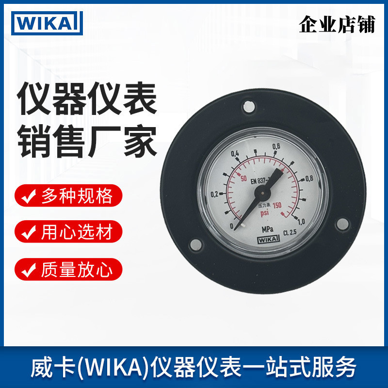 wika带边压力表高精度测量工业通用可订货111.12.040系列压力表