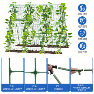 爬藤架花架葡萄豆角黄瓜架子包塑支撑杆植物种菜搭架园艺钢管窗台