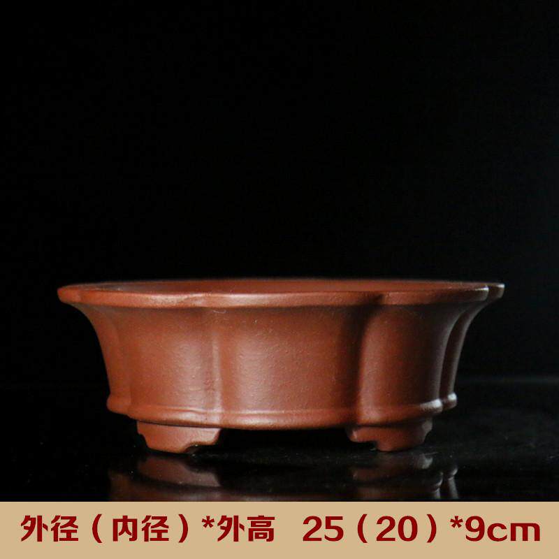 紫砂花盆日式收藏大盆栽手工日本莲花形棱花圆形盆景盆