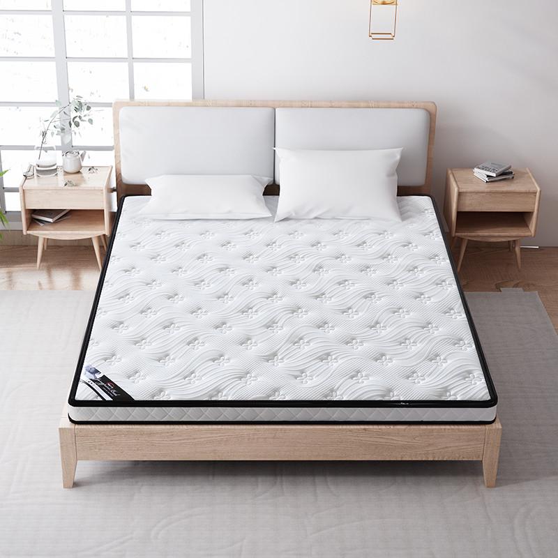 环保家用椰棕床垫偏硬榻榻米垫子地炕棕榈学生宿舍可折叠顺新品