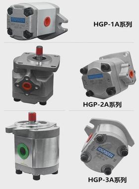 齿轮泵微型油泵高压hgp-2a-f12rf11rf9rf8rf6rf4rf3r