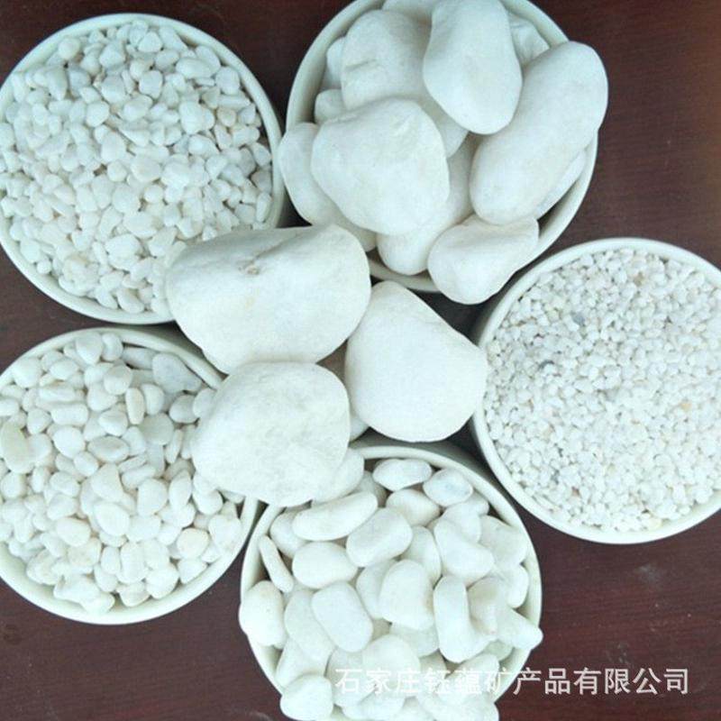 现货供应白石子园林造景多肉盆栽铺面用白石子庭院铺路小白石