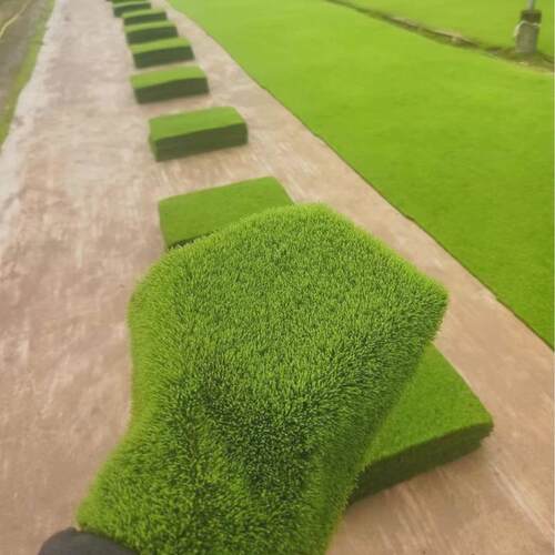 鲜活人工短绒藓植物铺面室内微景观真造景生态瓶水陆雨林缸苔藓