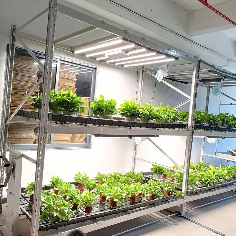 种菜机室内无土栽培水培蔬菜设备多层移动轨道种植架定制种植机