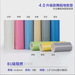 专业舞蹈地胶地垫教室专用地板芭蕾房室内防滑加厚pvc大面积运动