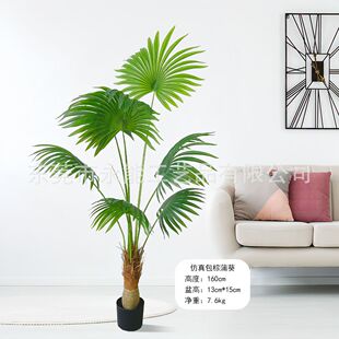 仿真大型唐客厅摆件葵北欧风仿真绿植盆景落地盆栽假树植物室内棕