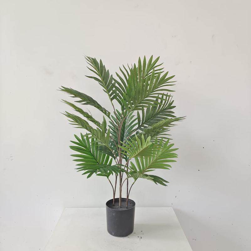 凤尾葵装饰假绿植盆栽摆件家居饰品加密仿真贵妃葵散尾葵现货,鲜花速递/花卉仿真/绿植园艺,仿真绿植,淘宝优惠券,粉丝福利购,淘宝优惠卷