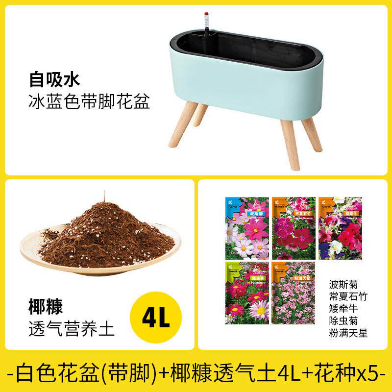 阳台家用自吸水长方形花盆玫瑰种植盆种花种菜月季盆栽小花箱