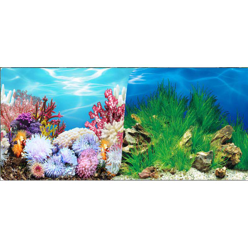30/40/50/60cm双面厚画鱼缸背景画水族装饰背景画多款水族箱