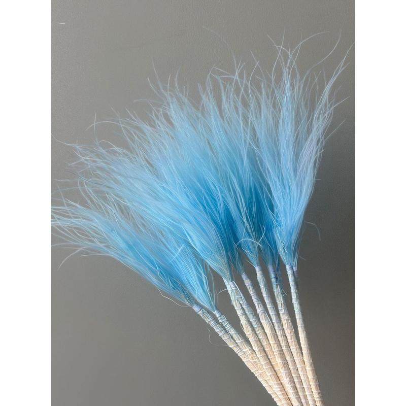 仙气百搭网红长针羽毛草仙女草绒毛草家居装饰拍摄道具针茅干花,节庆用品/礼品,圣诞礼品,淘宝优惠券,粉丝福利购,淘宝优惠卷