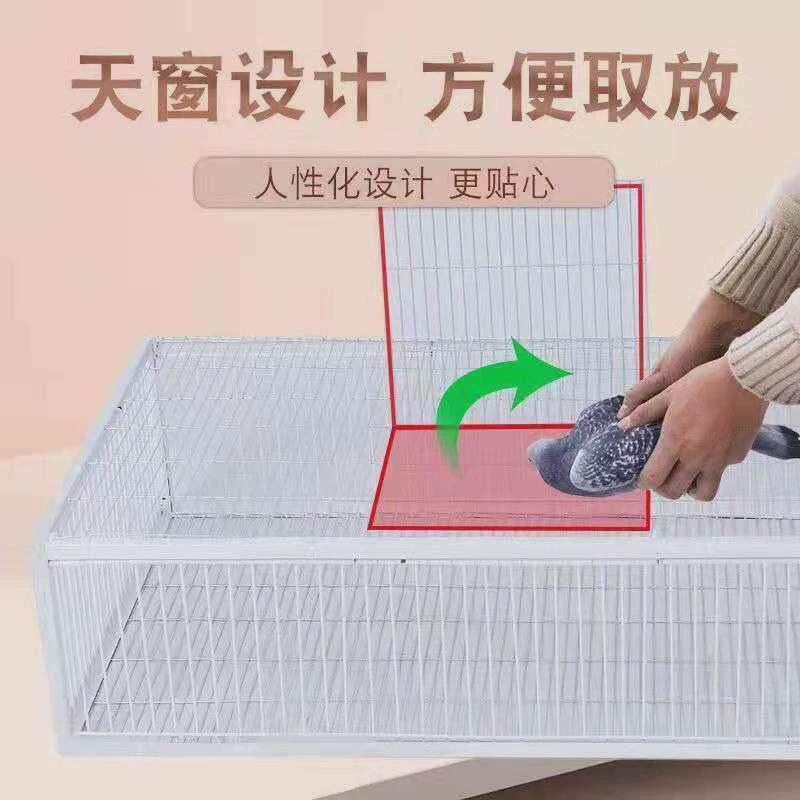 撞门笼天落笼铁笼信鸽放飞加密收笼器捕鸽自动屋顶户外陷阱赛用鸽