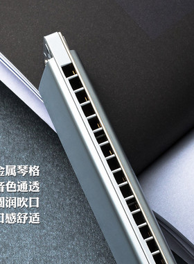 孔声24孔单音单孔ABCDEFG#调口琴全金属琴格高级成人准专业演奏级