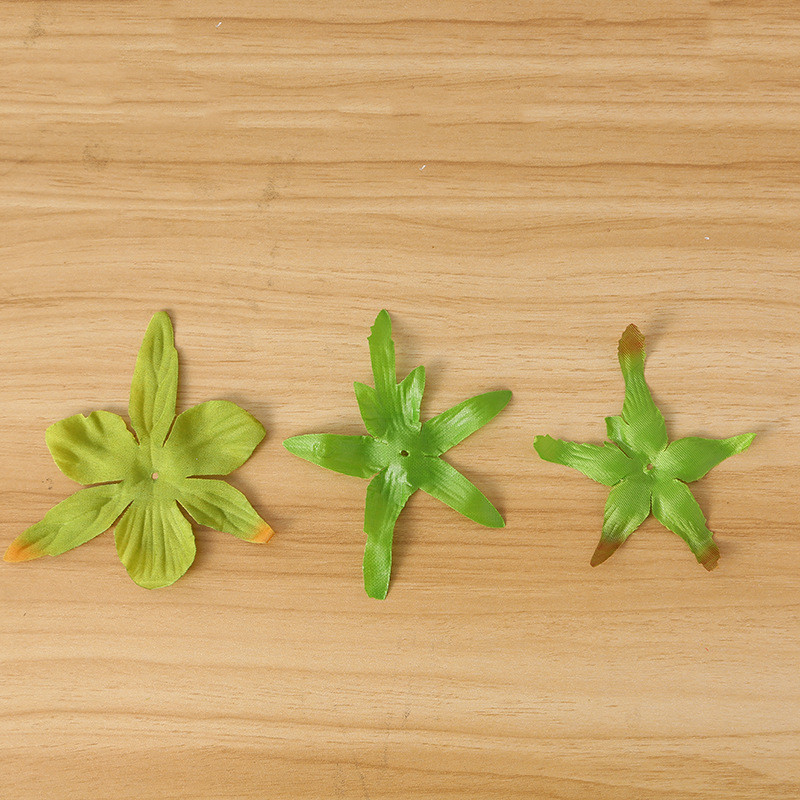 有光牡丹花拖玫瑰花叶后面增加仿真度的多用叶拖