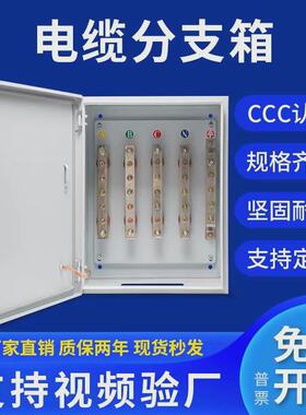矿物电缆分支箱铜排t接箱转换绝缘接线端子分流箱bttz配电箱电箱