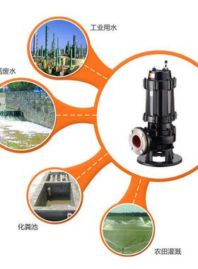 供应as30-2cb污水池旋涡排污泵污水处理设备污提设备