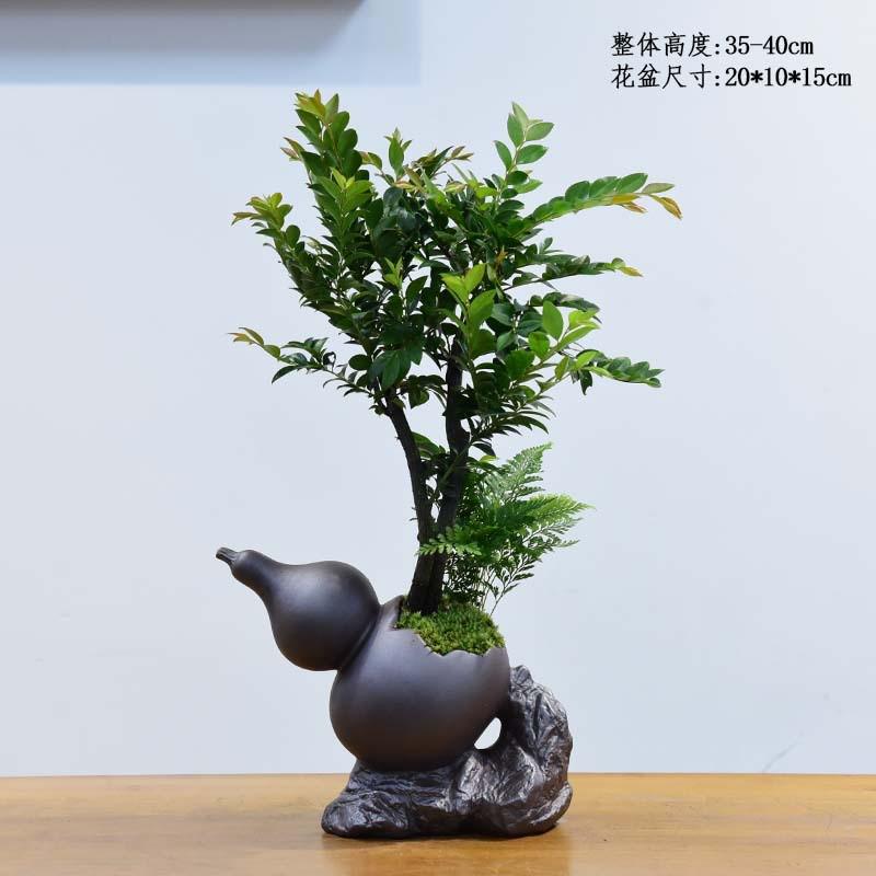 意境-紫檀木室内新中式盆景好养桌面摆件绿植花卉盆栽鲜活自然