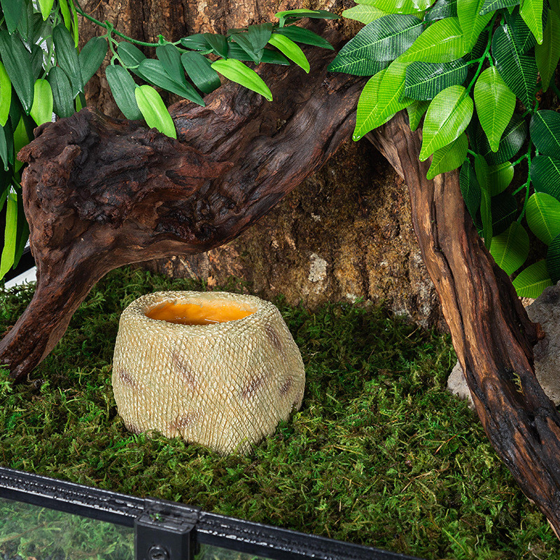 热销Reptizoo爬宠蛇类水盆宠物专用深水盆爬虫泡澡树脂盆防逃逸活