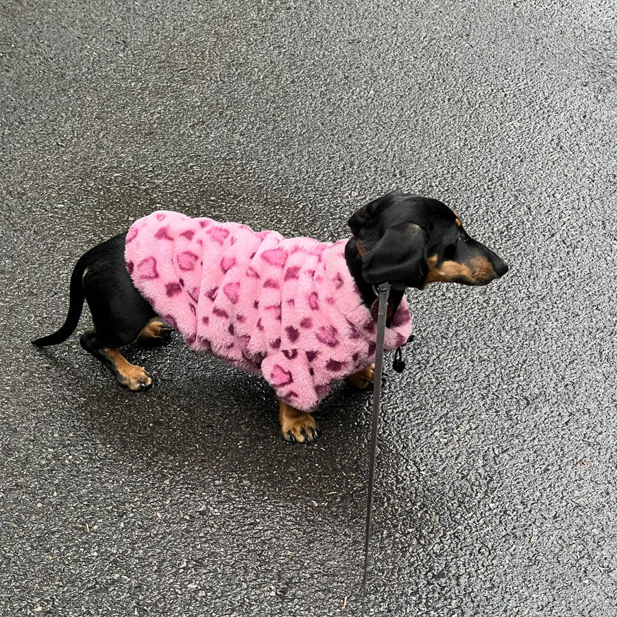 腊肠犬衣服宠物狗狗卫衣秋冬款粉红豹纹棉衣泰迪猫咪加绒保暖外套