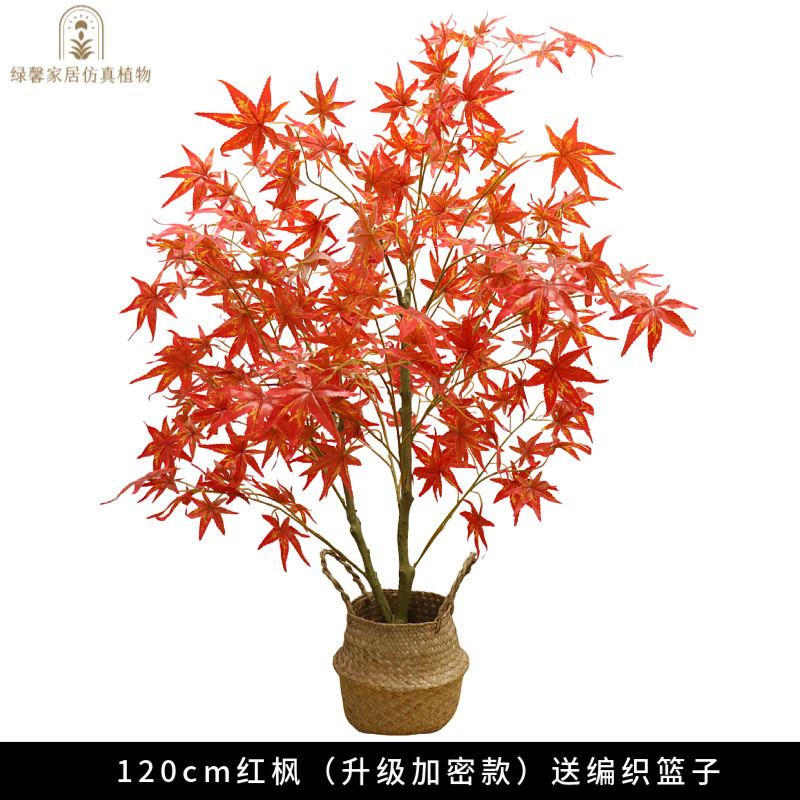 y圎4室内外枫树红枫假树仿真植物盆栽家居橱窗造景中大型装饰落地