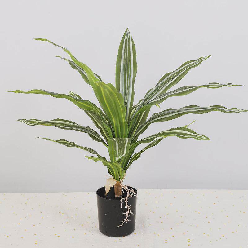 塑料仿真巴西铁树盆景户外造景仿真巴西铁家居装饰假植物小盆栽