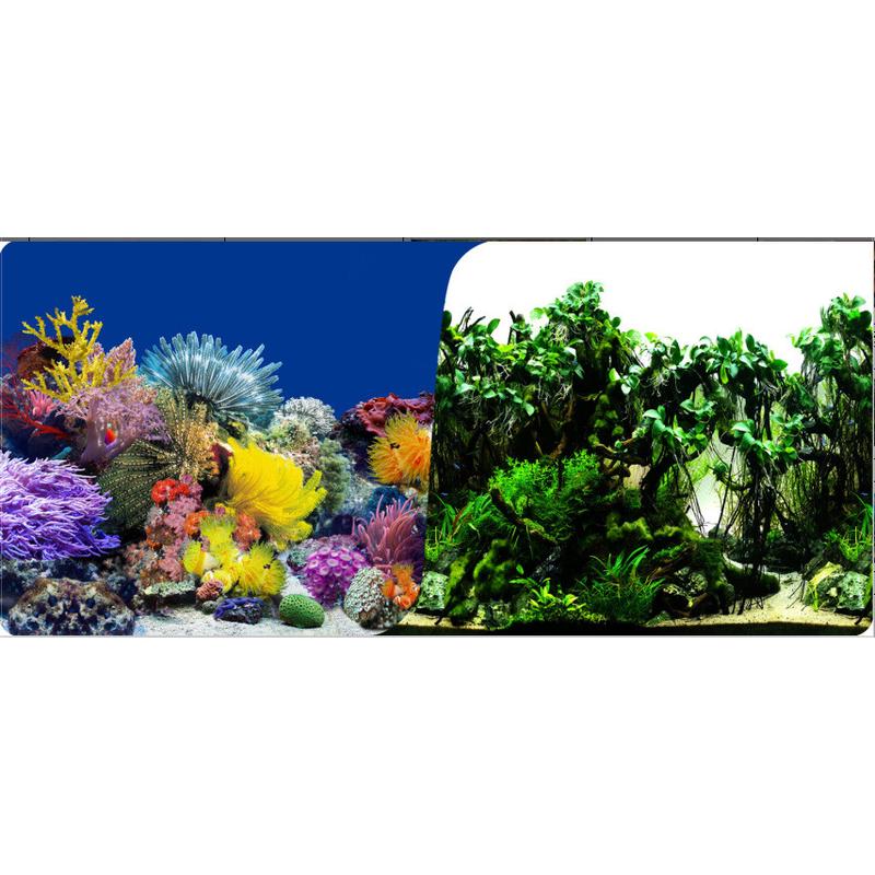 30/40/50/60cm双面厚画鱼缸背景背景水族装饰画画多款水族箱