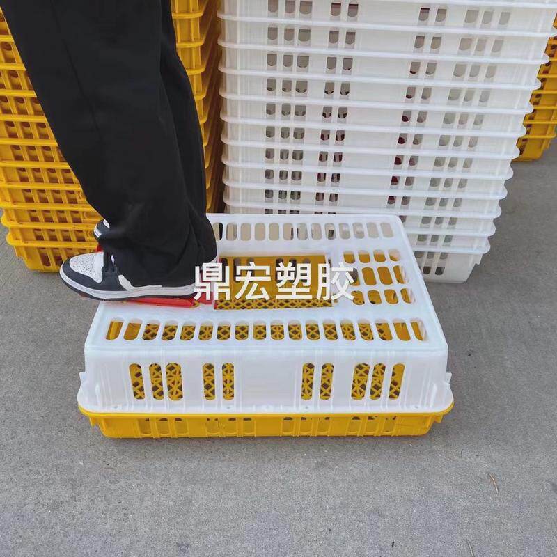 现货直供加厚10斤周转箱料鸡笼鸡鸭运输重塑养殖场用塑胶鸡鸭笼