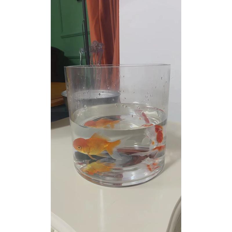 插花落地直筒水培富贵竹透明玻璃花瓶鱼缸婚庆路引大号亚克力圆筒