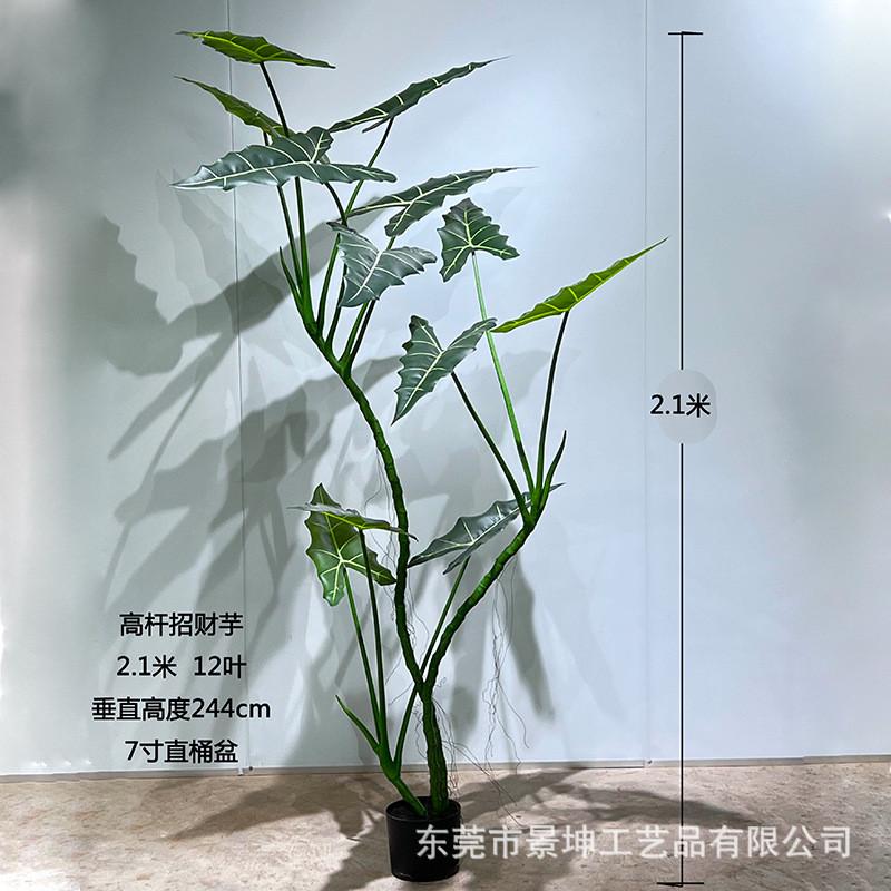仿真萨利安海芋盆栽北欧风仿真海芋树室内外各种仿真绿植仿真仙芋