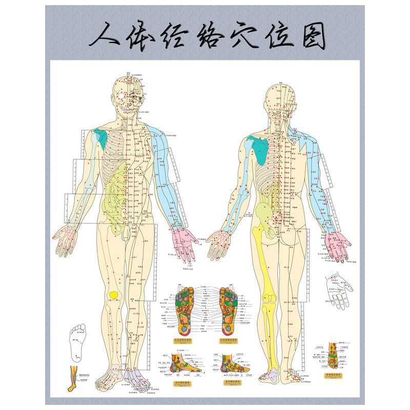 艾灸针灸人体经络穴位图大挂图足部全身中医身体养生保健按摩海报