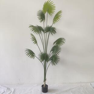 仿真植物软装装饰假绿植盆栽摆件仿真加州蒲葵扇葵棕榈树现货
