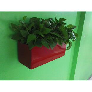挂墙花盆储水绿萝长方形长条简约挂墙上花箱挂壁式壁挂懒人自吸水