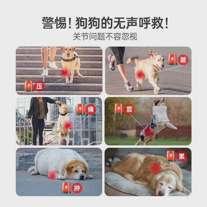热销dog红色葆c3姜黄软骨素宠物狗关节髌骨髋骨关节狗狗舒关节