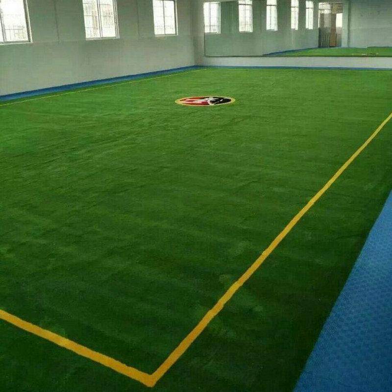 武术跆拳道腈纶地毯 舞蹈室健身房羊毛拼接地毯垫子 场地表演地垫,居家布艺,地毯,淘宝优惠券,粉丝福利购,淘宝优惠卷