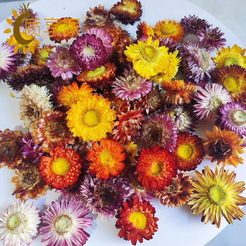 麦秆菊花头按斤称天然风干真花diy材料小雏菊乾燥花干花装饰摆件