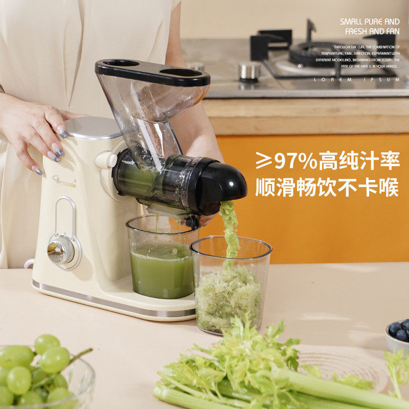 低速原汁机榨汁机汁渣分离家用小型全自动炸果蔬西芹专用果汁机