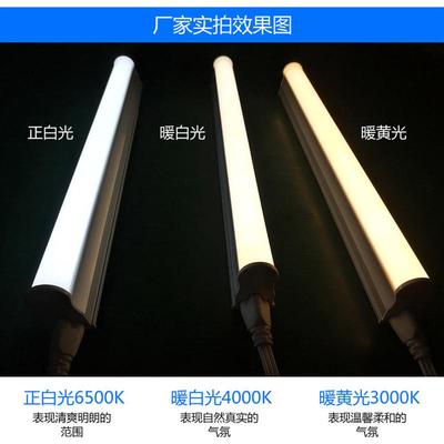 T8一体化LED灯管带插头开关线日光灯管支架T5学生宿舍酷毙直插灯