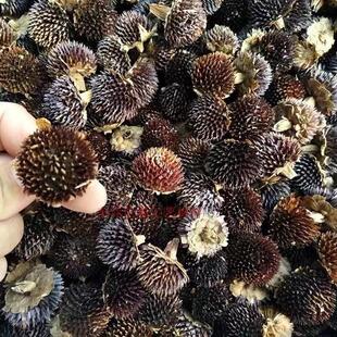 梧桐壳泡桐壳黑心菊花心创意植物果壳干花材料天然手工制作拼
